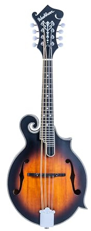 Washburn M3SEBRK F Style Mandoline Brown Burst mit Gigbag
