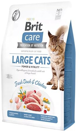 VAFO Praha s.r.o. Brit Care Katzenfutter für Katzen, groß, 2 kg, Power & Vitality GF