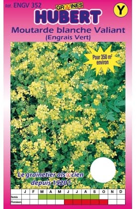 Graines de Moutarde Blanche Pour 350 m² - 350 grammes