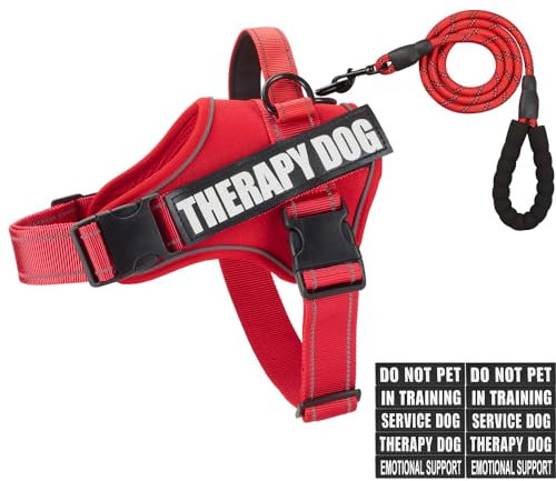 Animire Hundegeschirr, Geschirr und Leine, reflektierend, mit 10 Patches, 3 Ringen, emotionale Unterstützung, Therapie, Hundegeschirr für kleine, mittelgroße und große Hunde (Rot, M)