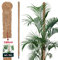 KOTARBAU® Tuteur Plante Interieur | Tuteur Coco | Tuteur Plante Grimpante, Tuteurs pour Plantes | Tuteur Monstera Deliciosa ⌀ 3,2 x 180 cm en Fibres de Coco