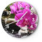 Modern Wanduhr Orchidee Bambus Dekoration Spa 40x40cm Rund Groß Wand Uhr Glas Analog Zimmeruhren Küche Büro Wohnzimmer Glasuhr Wall Clock Dekoration Design Wanddekoration Küchenuhr C4AR40x40-2666
