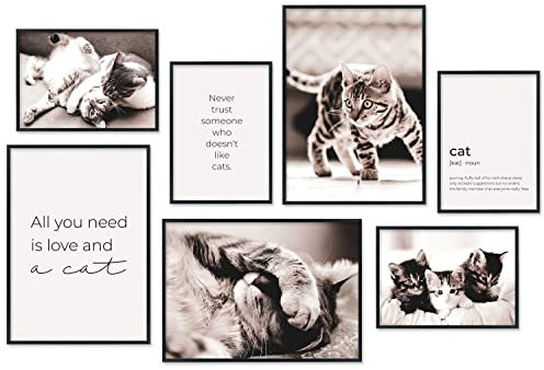 Hyggelig Home Premium Poster Set - 7 Katzen Bilder - Haustiere Kätzchen Katzenbabys - Set Cats - ohne Rahmen