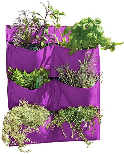 VegTrug FWP12P Jardinière Murale en Feutre Violet 55 x 5 x 70 cm