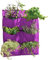 VegTrug Fwp10bk Murale Pot en Feutre – Noir 55x5x70 cm Violet