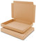 verpacking Großbriefkartons 165 x 125 x 20 mm Großbriefkarton GB-0 DIN A6 für Briefsendungen (Innenmaß 154 x 118 x 17 mm) DHL GLS DPD Braun Päckchen Versandkarton Büchersendung Brief (100 Stück)