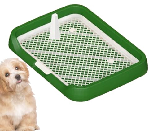 Qurygin Hundetoilette für den Innenbereich, Pee Pad Flaches Töpfchen