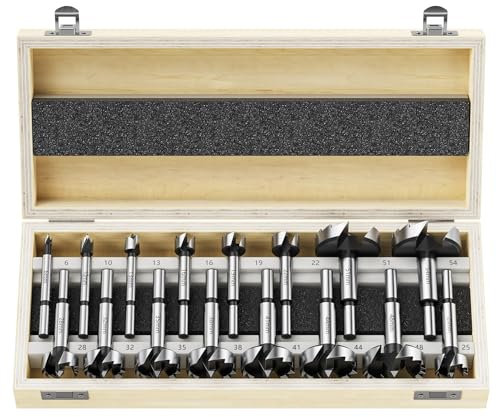 WildFun Set di punte Forstner 16 pezzi, punte Forstner di alta qualità per la lavorazione del legno, foratura del legno con gambo rotondo, accessori per trapano, Ø6-54mm con custodia