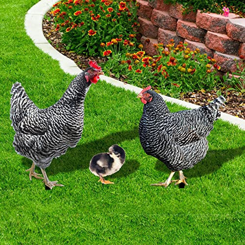 3PC Huhn Gartendeko Huhn Gartenfiguren Dekoration Garten Huhn Deko Lustiger Garten Huhn Familie Ornament Huhn Gartenstatue Outdoor Garten Tierfigur Huhn Gartenstecker (Multicolor-C, One Size)