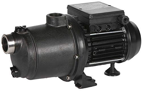 Sta rite Pompe à Eau 1.5 CV Mono - Classique Noir Acier Inoxydable