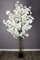 Arnusa Plante Artificielle Cerisier en Fleurs, Cerisier, Plante Artificielle, Arbre Artificiel, Fleur de Cerisier, Plante d'intérieur (Blanc, 160 cm)