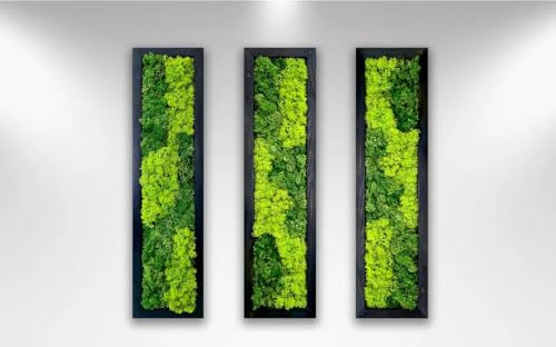 lagom Moosmuster-Wandkunst – echtes Moos, keine Wartung – umweltfreundliche, natürliche grüne Wanddekoration – Moos gerahmt – moderne Wanddekoration mit lebender Pflanze (3)