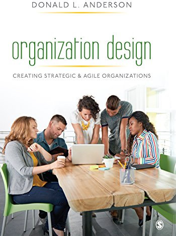 Organization Design: Creating Strategic & Agile Organizations (English Edition)