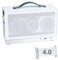 S300 Portable 8L Mini-ITX Case w/PCIe 4.0 Riser Cable, Advanced Vented Panel, Front Type-C USB3.0 Ports, Dual Slot GPU, SFF Small Form Factor PC Chassis (White)