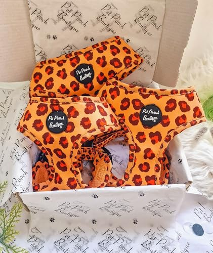 Spiced Honey Leopard Hundegeschirr XS