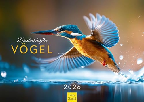 Edition Seidel Premium Kalender Zauberhafte Vögel 2026 Format DIN A3 Wandkalender Vogelkalender Vogel Stieglitz Blaumeise Eisvogel Christian Müringer