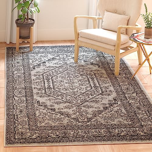 SAFAVIEH Area Rug 4x6 - Adirondack Collection - Silver & Black, Oriental Medallion Design, Non-Shedding & Easy to Clean, Ideal for Living Room, Bedroom, Dining Space (ADR108A)
