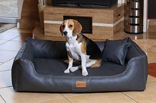 tierlando® Orthopädisches Hundebett Maddox Kunstleder Hundesofa Mittelgroß Große Hunde Hundesofa Hundekorb XL XXL Größe: MO5-LL 120cm Farbe: 02 Graphit