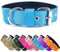 Strapazierfähiges taktisches Hundehalsband – 3.8 cm breit, Militär, langlebig, dickes Nylon mit verstellbarem D-Ring aus Metall und Schnalle, Arbeitstraining, L (50.8 cm,58.4 cm)