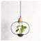 Metal Suspension E27 Suspension Moderne Lampe Plante Verte Pendante Lumière Lustre en fer forgé en bois restaurant café bar fleuriste balcon lustre en pot Suspension intérieure,C