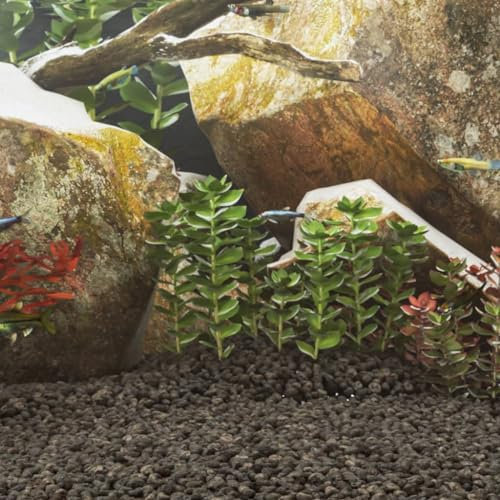 LAPOOH Lavagranulat 10 kg Schwarz 1-2 cm, Aquarium Deko, Aquarium Steine, Soil Aquarium - 155317