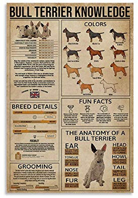 dianji Coole Poster mit Bullterrier-Wissenswert-Leinwand-Kunstdruck und Wandkunstdruck, modernes Familienschlafzimmerdekor, 20 x 30 cm