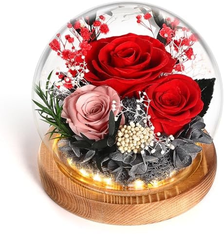 WYRIAZA Regalo Donna Rosa Stabilizzata Vera in Vetro,Idee Regalo Mamma Donna Compleanno,Regalo Donna Mamma Moglie Natale,Idee Regalo Festa Della Mamma Regalo San Valentino per Lei,Rosa Eterna