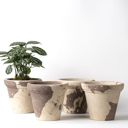 Nipots 4 Pack Terracotta Clay Plant Pots with Drainage, Breathable Water-Absorbing Planters for Healthy Roots, 5 Inch Deep Flower Pots for Gardening, Indoor and Outdoor, Latte