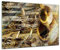 Glasbild - Trompete und Piano abstrakt - 80x60 cm - Deko Glas - Wandbild aus Glas - Bild auf Glas - Moderne Glasbilder - Glasfoto - Echtglas - kein Acryl - Handmade