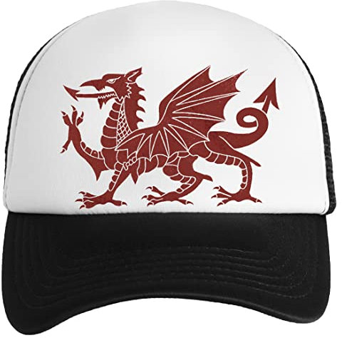 Welsh Red Dragon Jungen Mädchen Baseball Classic Kappe Unisex Einstellbarer Snapback Kids Boys Girls Cap
