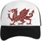 Welsh Red Dragon Jungen Mädchen Baseball Classic Kappe Unisex Einstellbarer Snapback Kids Boys Girls Cap