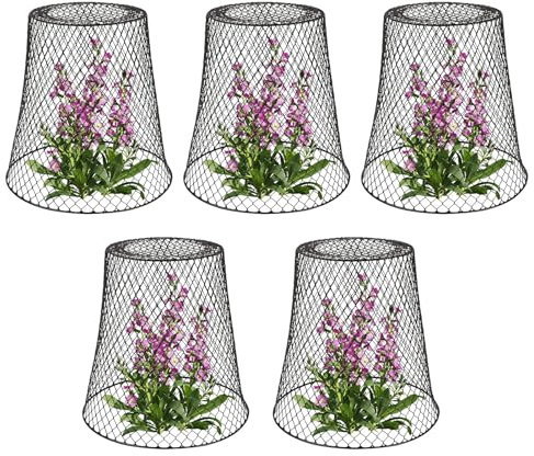 Protezioni per piante in metallo, barriera a forma di scoiattolo, gabbia per fiori, 5 pezzi, anello barriera da esterno con design aperto per flusso d'aria per mirtilli, fiori, vasi di verdure