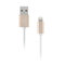 Artwizz 2889-LC-USB-GG 100 cm USB 2.0 Alu Lightning Cable for Apple iPhone, iPad and iPod - Gold
