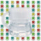Gravidus Schnapsglas Schnapsgläser Schnaps Stamper Kurze Glas mit Henkel 2cl (48 Stück)