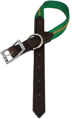 Nylon-Leder-Halsband G-Adventure klassisch englisch, gepolstert, 50 cm, grün