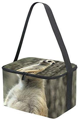 Animal Vigilant Isolierte Lunchbox Kühltasche Erdmännchen