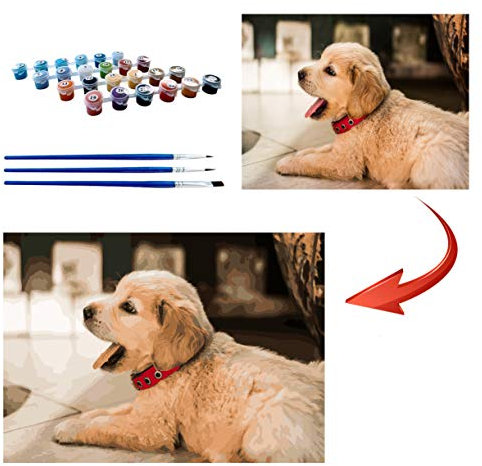 Personalised Paint by Numbers for Adults, Photo Custom Paint by Numbers Kits for Children Professional Portrait Pet Family Photos Customized Make Your Own DIY Gifts, 36 Colors 40x40cm No Frame