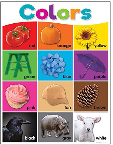 Teacher Created Resources TCR7991