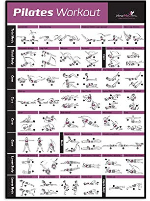 REYTOL Pilates Workout Ch GemäldeLeinwand Poster Yoga Zimmer Wand Bilder Frauen Schlafzimmer Dekor Pilates Bild Geschenk Bodybuilding Guide Fitness Fitness Wandbilder（Kein Rahmen）