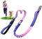 DAISTERN 6-in-1 Joggingleine Hunde, Freihandleine Elastisch Ruckdämpfend Reflektierend mit 360°Drehbarer Verriegelungskarabiner, Verstellbarer Hüftgurt für Mittelgroße und Große Hunde Lila