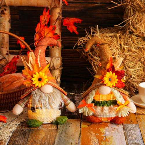 ACAREY Herbstdeko Wichtel 2 Stück Herbst Deko Wichtel mit Beleuchtet, Herbst Dekoration Kürbis Wichtel, Herbstdeko Wichtel Figuren Plüsch Für Erntedankfest Weihnachten Party Geschenk (A)