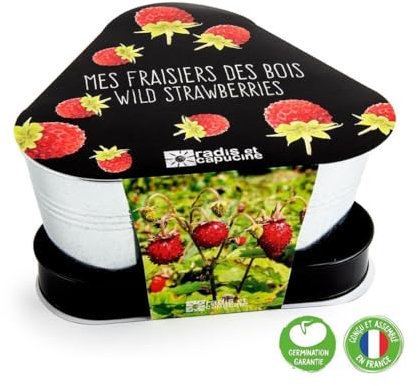 Radis et Capucine - Plateau trio pots zinc - Fraisier des bois