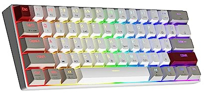NEWMEN GM610 Wireless Mechanical Gaming Keyboard, 60% USB-C Wired/Bluetooth/2.4Ghz RGB Backlit Compact Hot Swappable Gaming Keyboard, Anti-Ghosting PC Mac Windows Android(WhiteGreyRed/Red Switch)