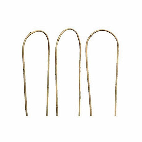 Siena Garden Rankhilfe, Wachstumshilfe, bambus, 60x20x2,5cm, 436427