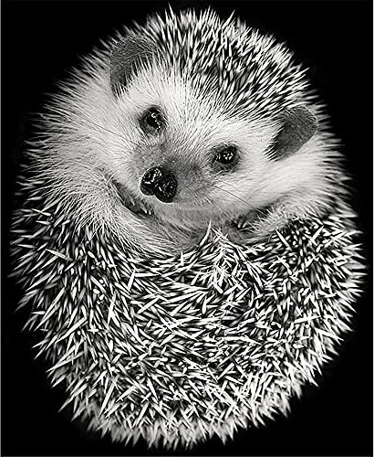 Puzzles für Erwachsene 2000 Teile Puzzle für Erwachsene 2000 Teile - Süßer Kleiner Igel - Puzzle 2000 Teile (70x100cm)