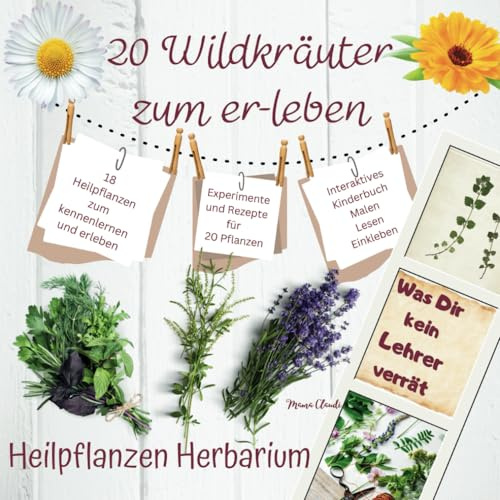 Was Dir kein Lehrer verrät - 20 Wildkräuter zum er-leben - Heilpflanzen Herbarium