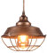 TWSXTE E27 Innenbeleuchtung Pendant Vintage industrielle Hängelampe Käfig Deckenleuchte Hängeleuchten Anhänger Lampe Käfigleuchte Leuchte (ohne Glühbirne)