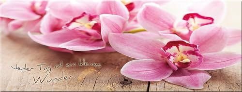 artissimo, Glasbild, 80x30cm, AG1905A, Jeder Tag.., Orchidee, Blumen, Bild aus Glas mit Spruch, Wanddekoration, Wandbild Wohnzimmer modern, rosa