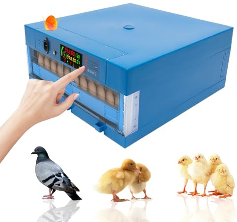 Brutautomat Vollautomatisch Set, Inkubator Hühner Vollautomatisch mit Futterautomat Wasserzufuhr, 64 Eier Brutkasten mit Automatischem Rotationssystem für Eier Enteneier Gänseeier