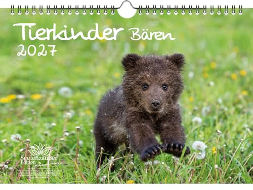 Tierkinder Bären DIN A4 Kalender für 2027 Bären - Seelenzauber